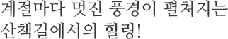 계절마다 멋진 풍경이 펼쳐지는 산책길에서의 힐링!