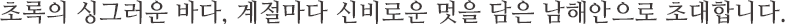초록의 싱그러운 바다, 계절마다 신비로운 멋을 담은 남해안으로 초대합니다.